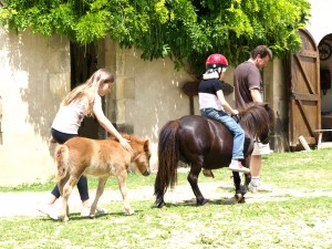 Vous et vos enfants en promenade à Vanneau