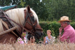037_Moulin_Vanneau_2012
