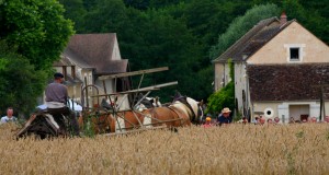 074_Moulin_Vanneau_2012