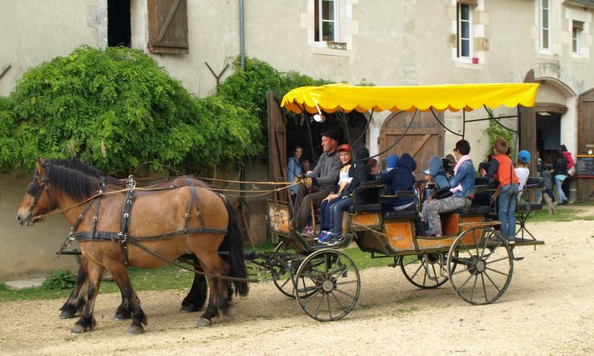 calèche – Moulin de Vanneau